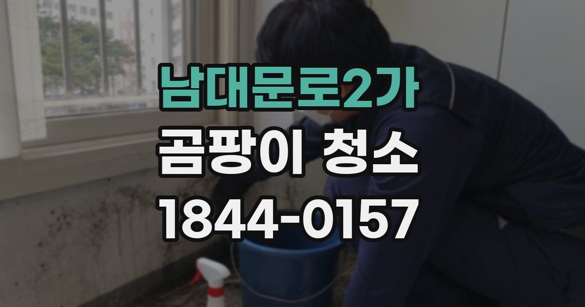 남대문로2가 곰팡이 청소