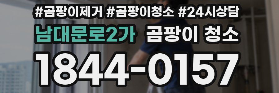 남대문로2가 곰팡이 청소
