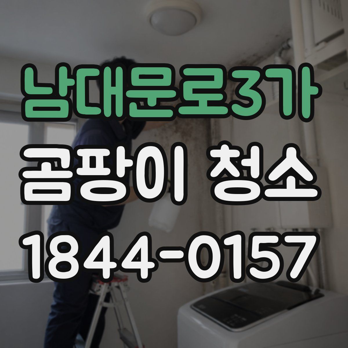 남대문로3가 곰팡이 청소