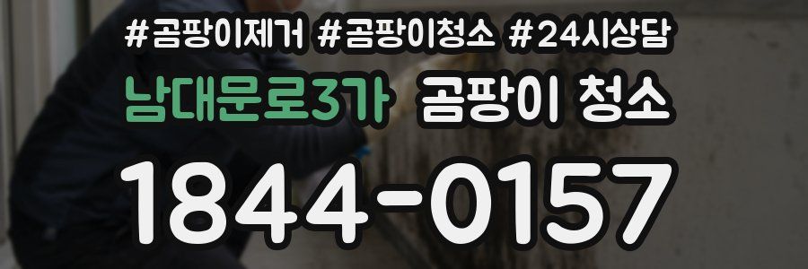남대문로3가 곰팡이 청소
