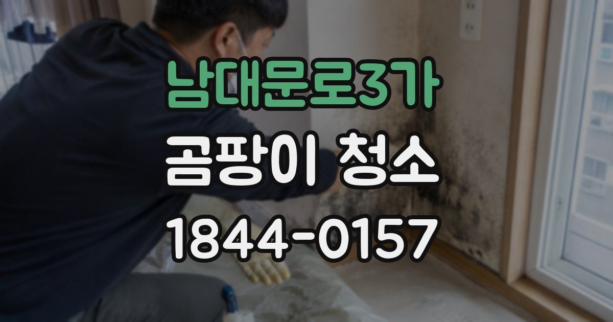 남대문로3가 곰팡이 청소