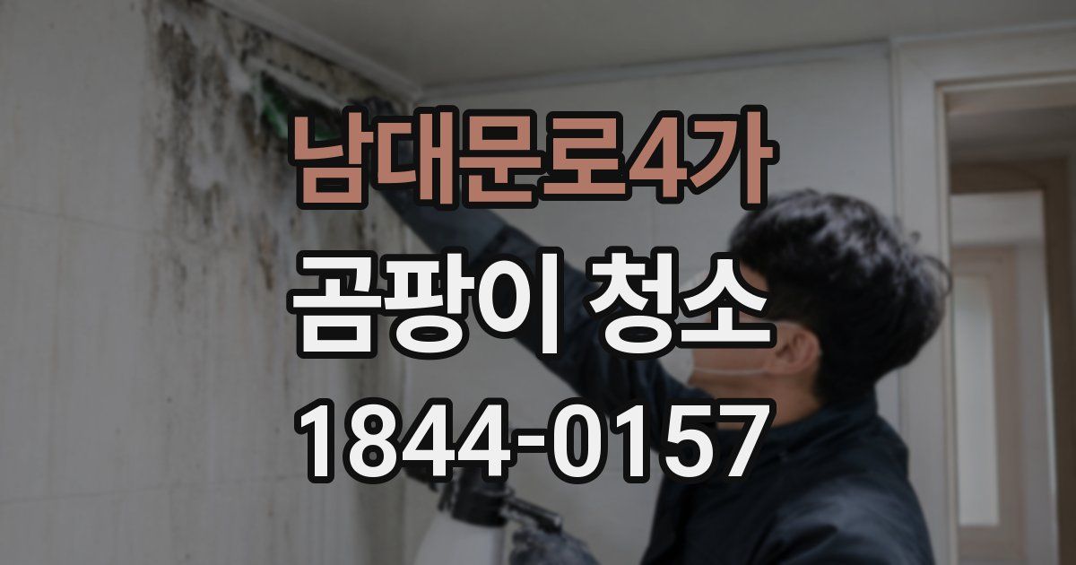 남대문로4가 곰팡이 청소