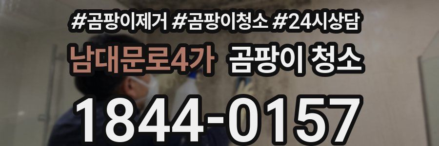 남대문로4가 곰팡이 청소