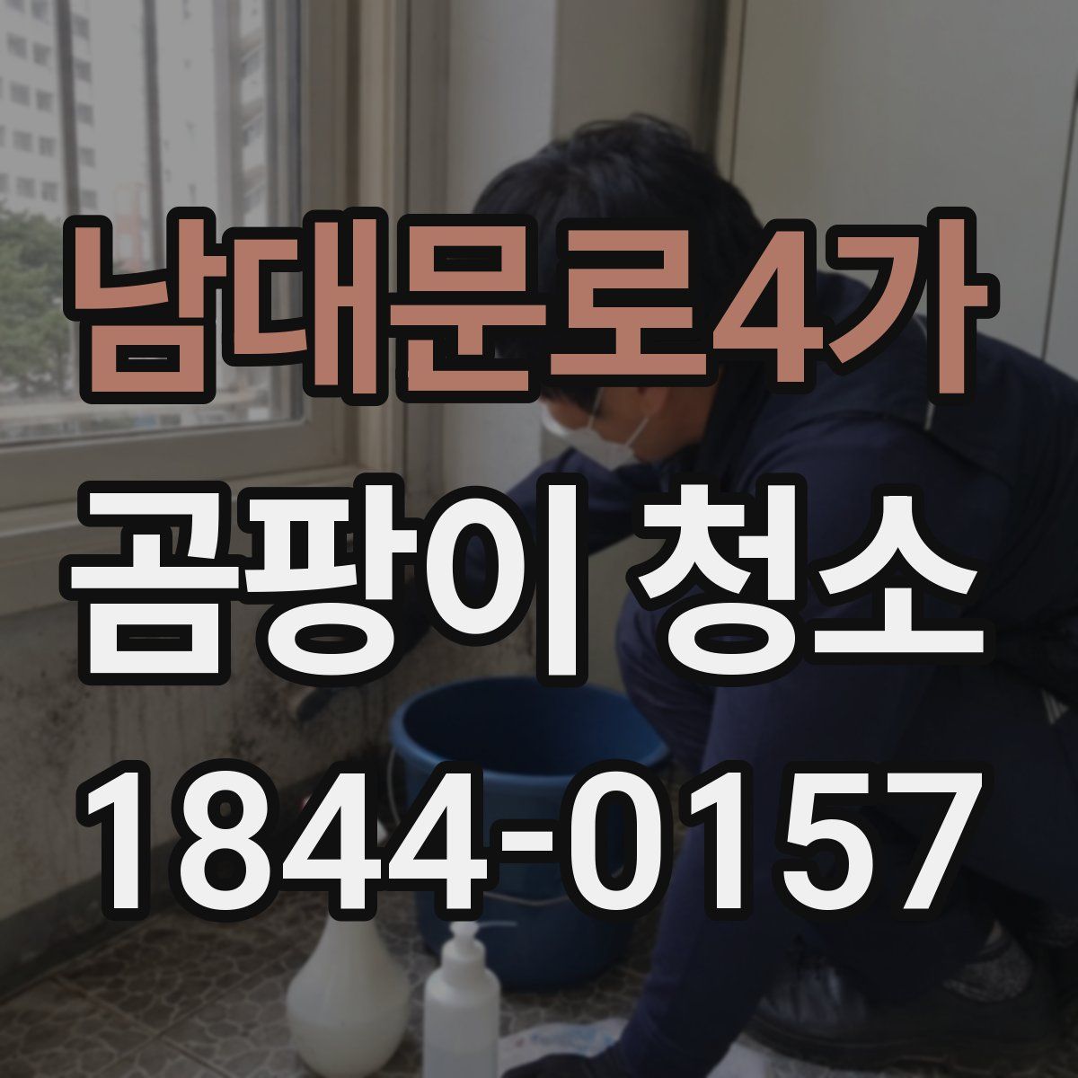 남대문로4가 곰팡이 청소