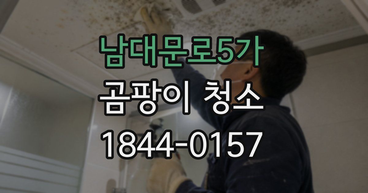 남대문로5가 곰팡이 청소