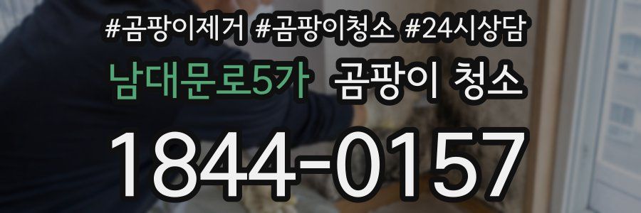 남대문로5가 곰팡이 청소