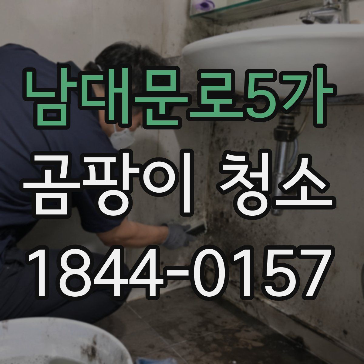 남대문로5가 곰팡이 청소