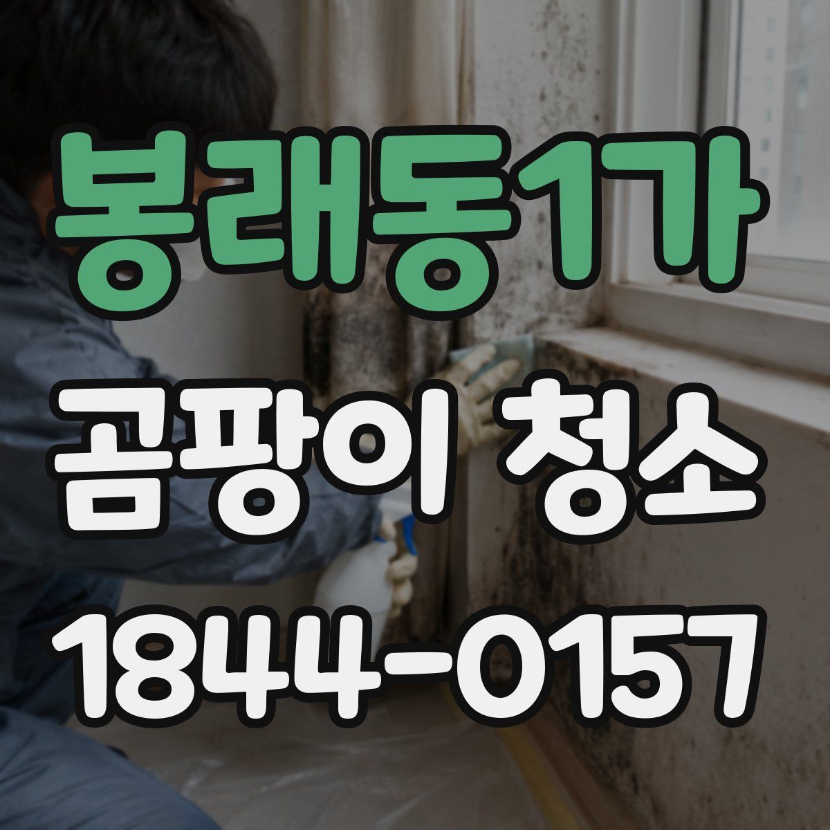 봉래동1가 곰팡이 청소