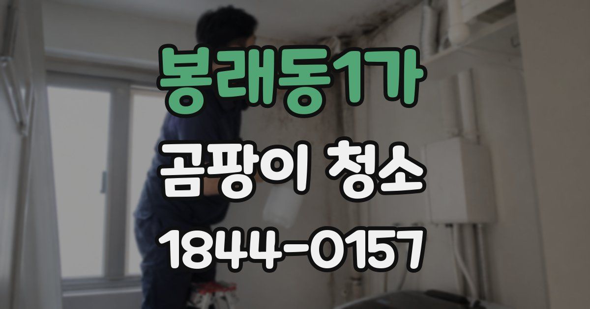 봉래동1가 곰팡이 청소