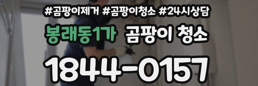 봉래동1가 곰팡이 청소