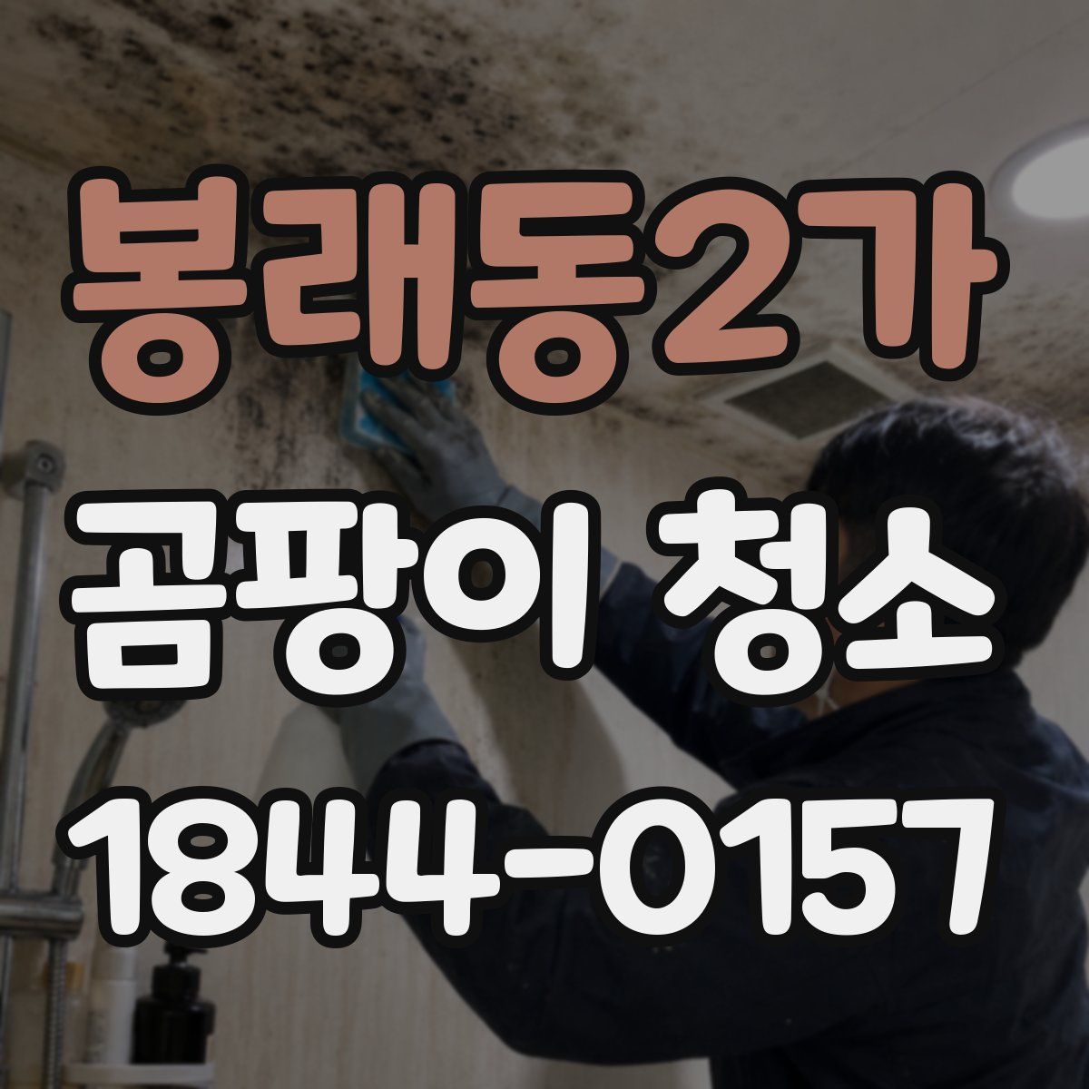 봉래동2가 곰팡이 청소
