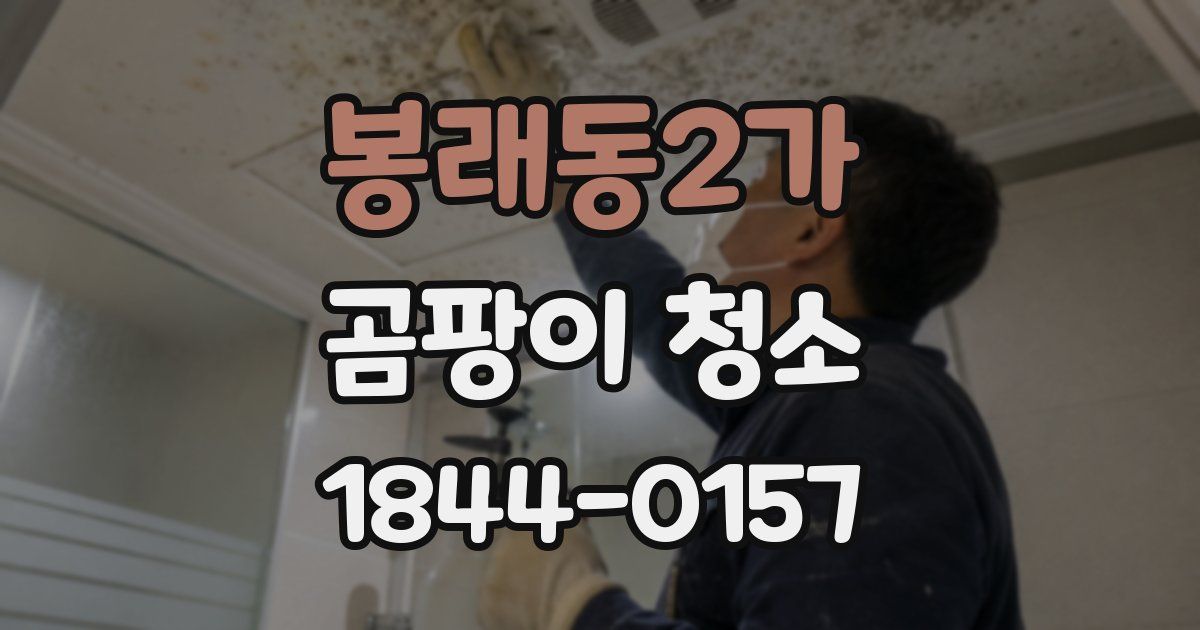 봉래동2가 곰팡이 청소