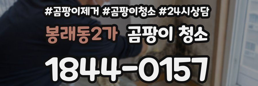 봉래동2가 곰팡이 청소