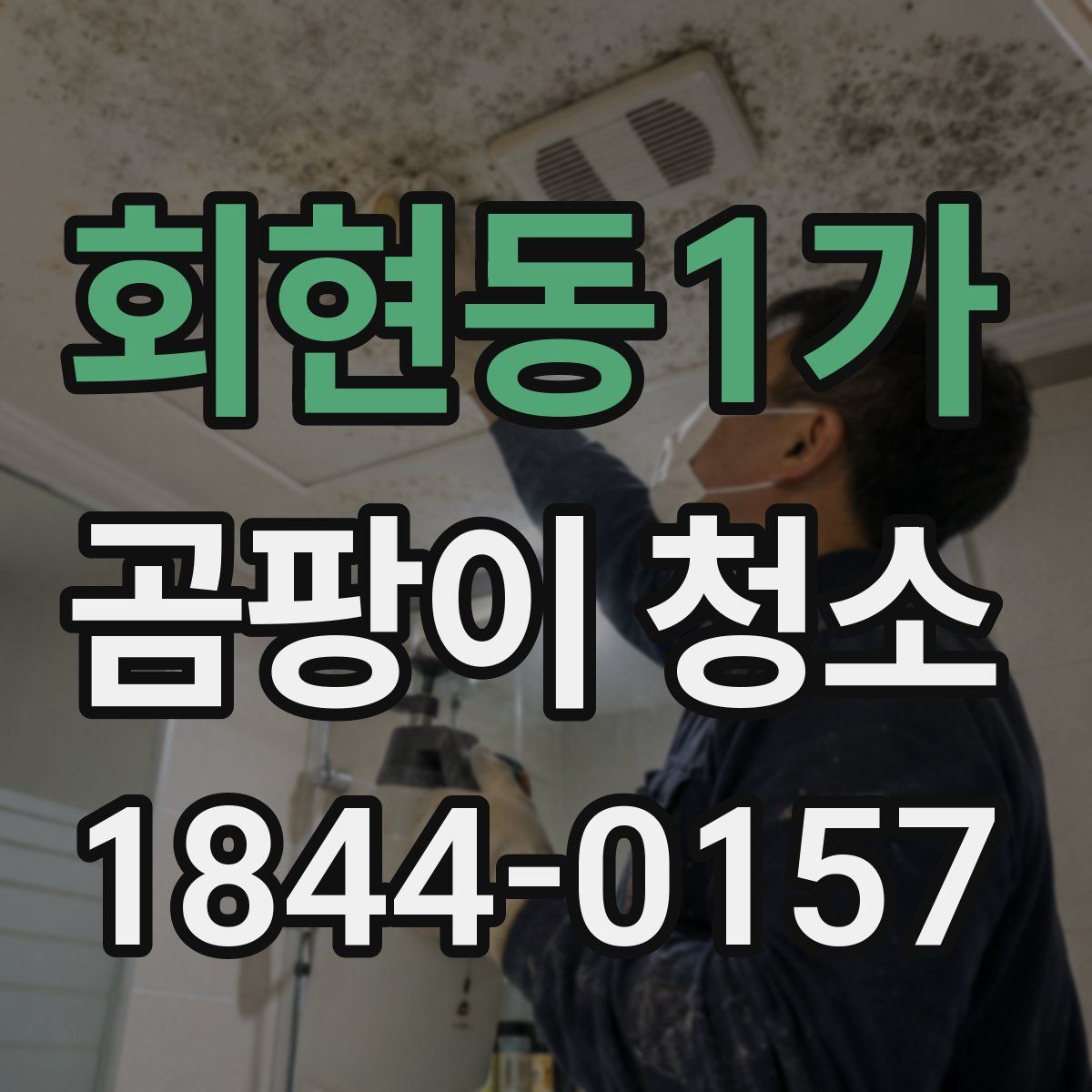 회현동1가 곰팡이 청소