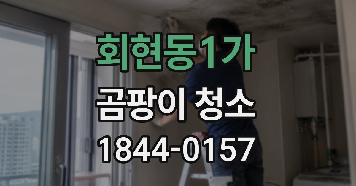 회현동1가 곰팡이 청소
