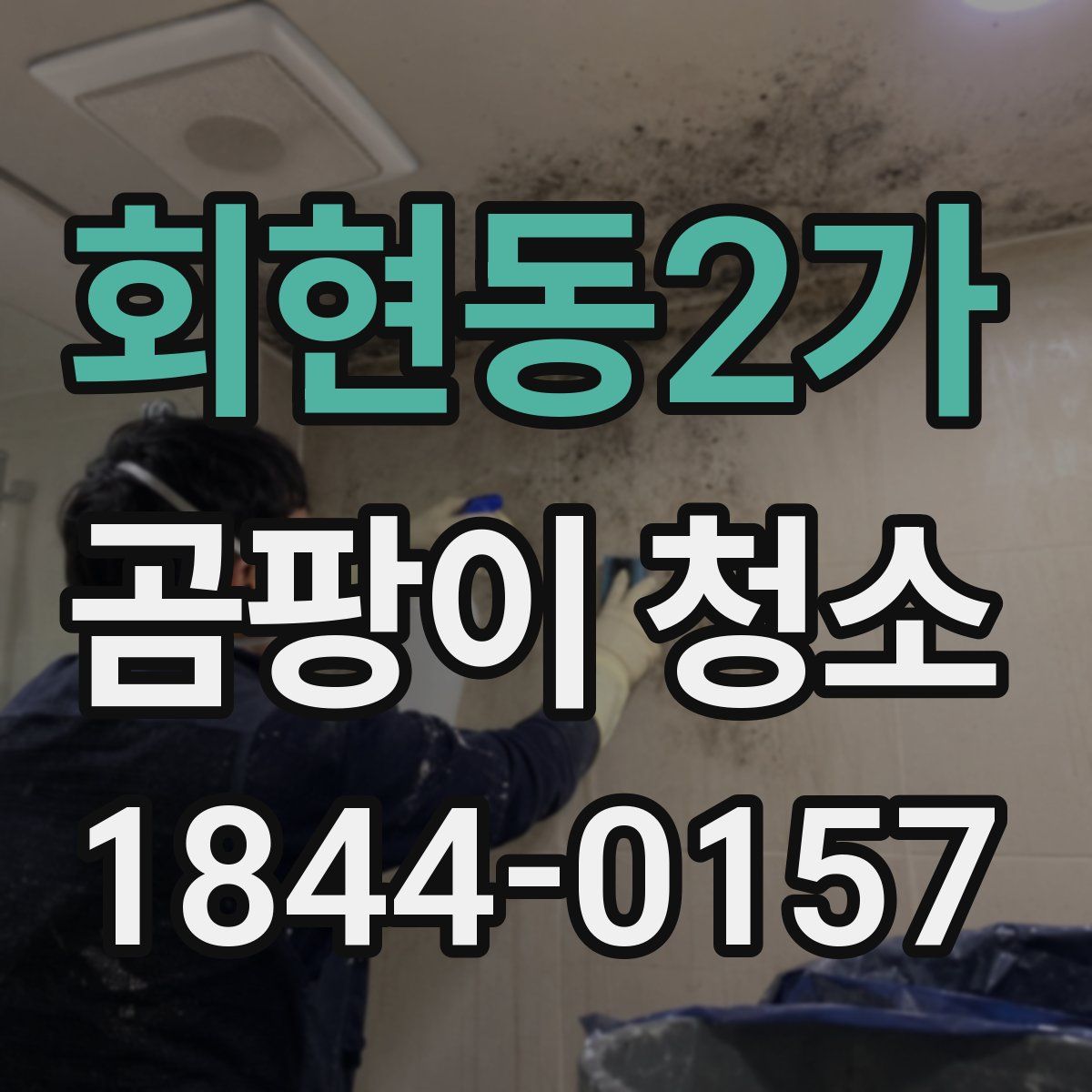 회현동2가 곰팡이 청소