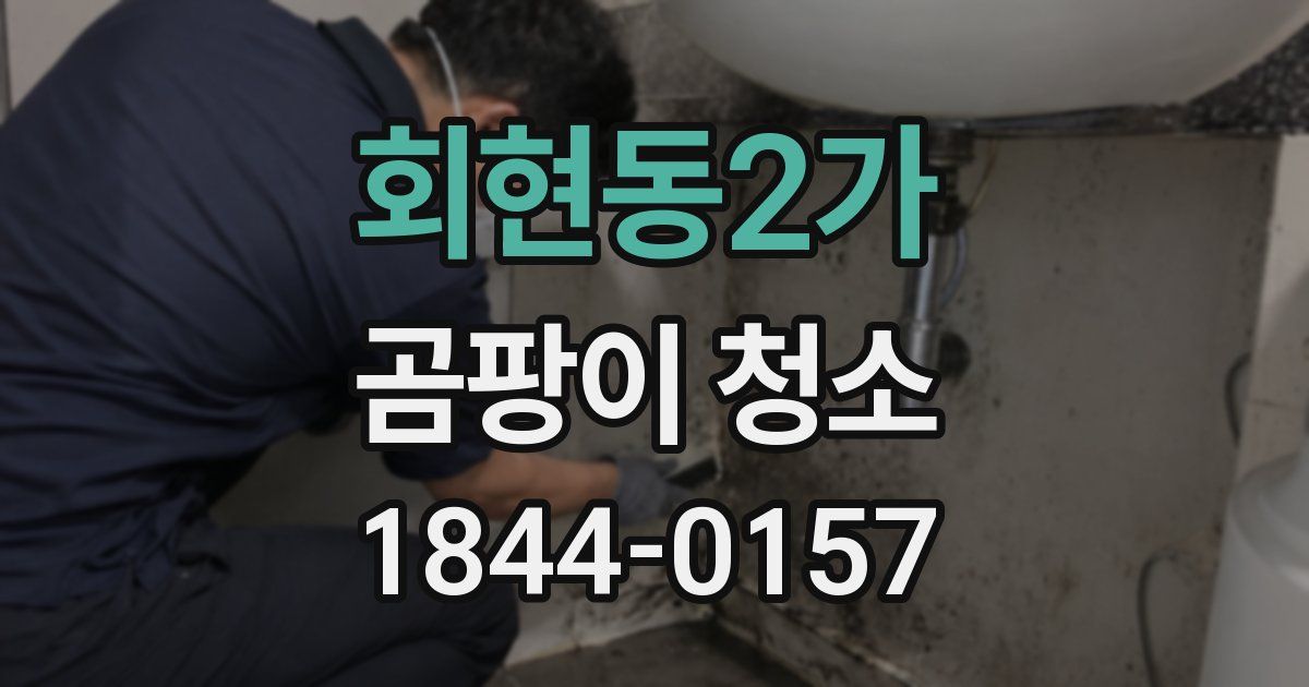 회현동2가 곰팡이 청소