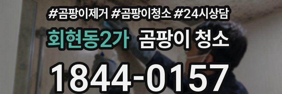 회현동2가 곰팡이 청소