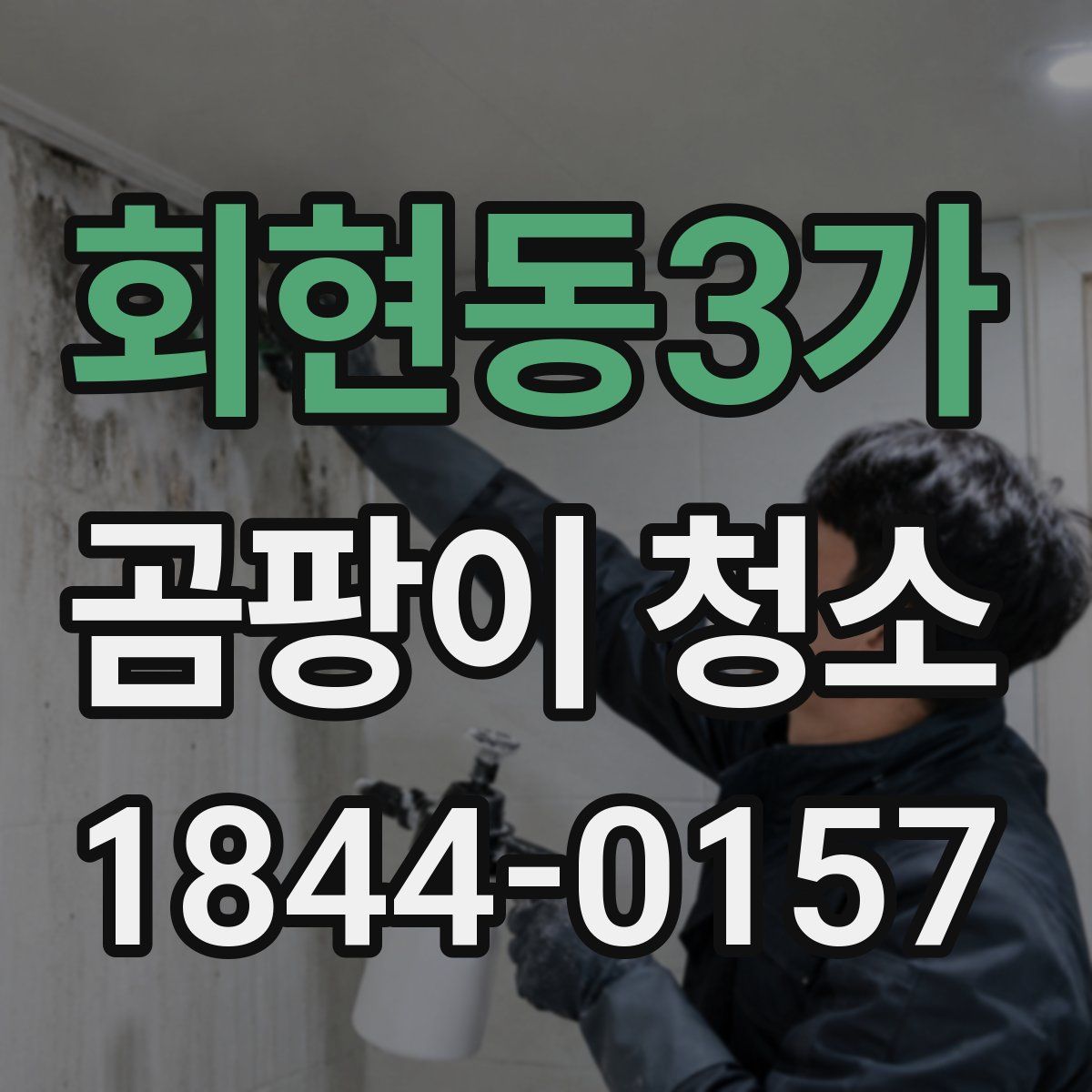 회현동3가 곰팡이 청소
