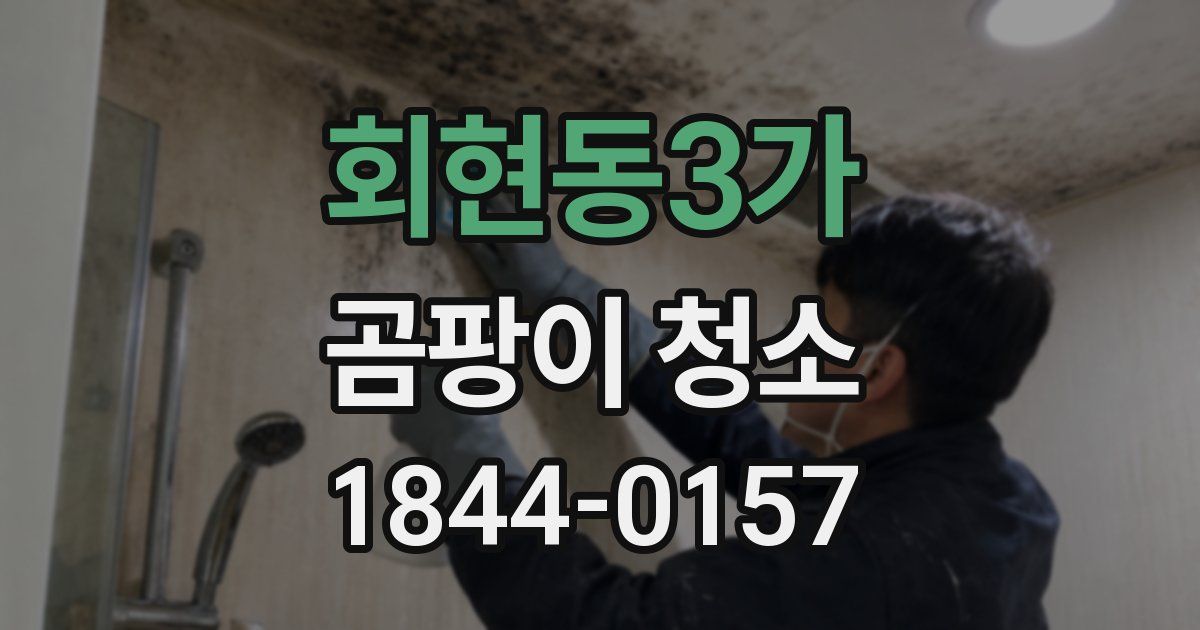 회현동3가 곰팡이 청소