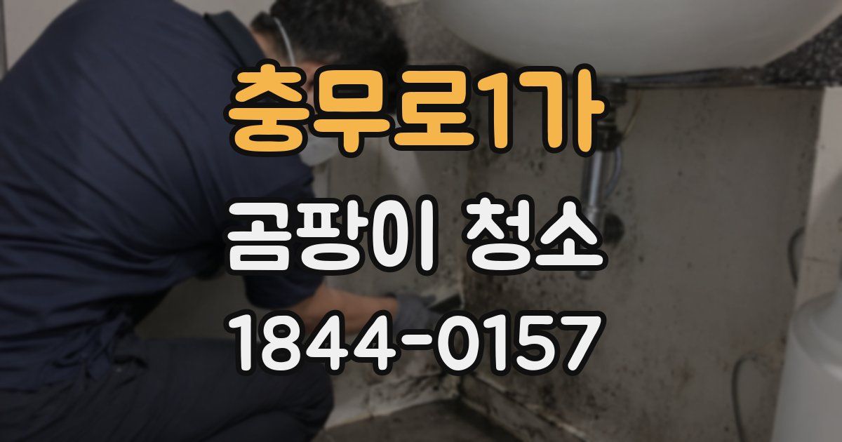 충무로1가 곰팡이 청소