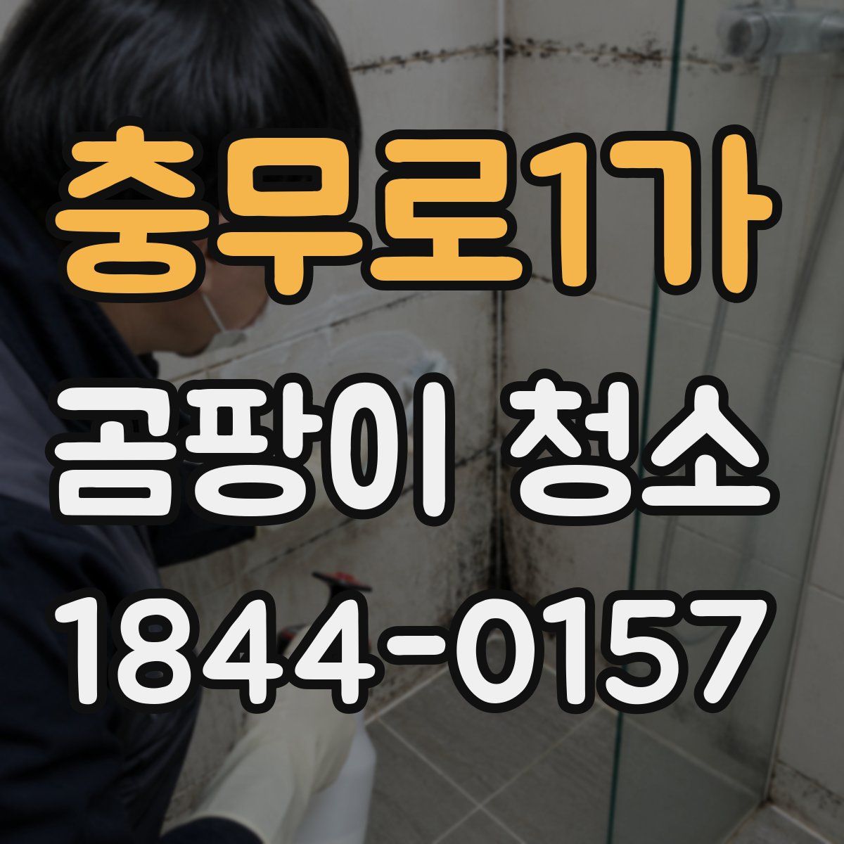 충무로1가 곰팡이 청소