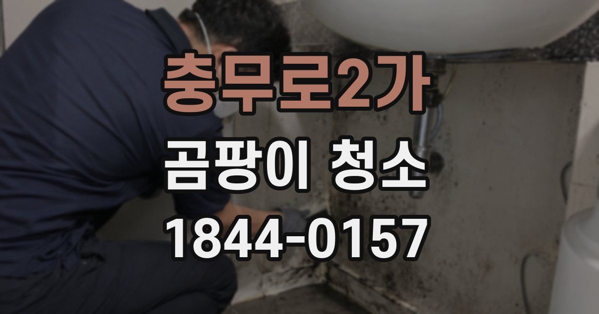 충무로2가 곰팡이 청소