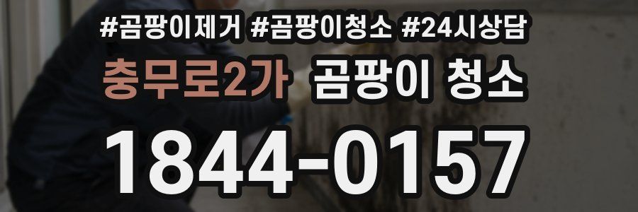 충무로2가 곰팡이 청소