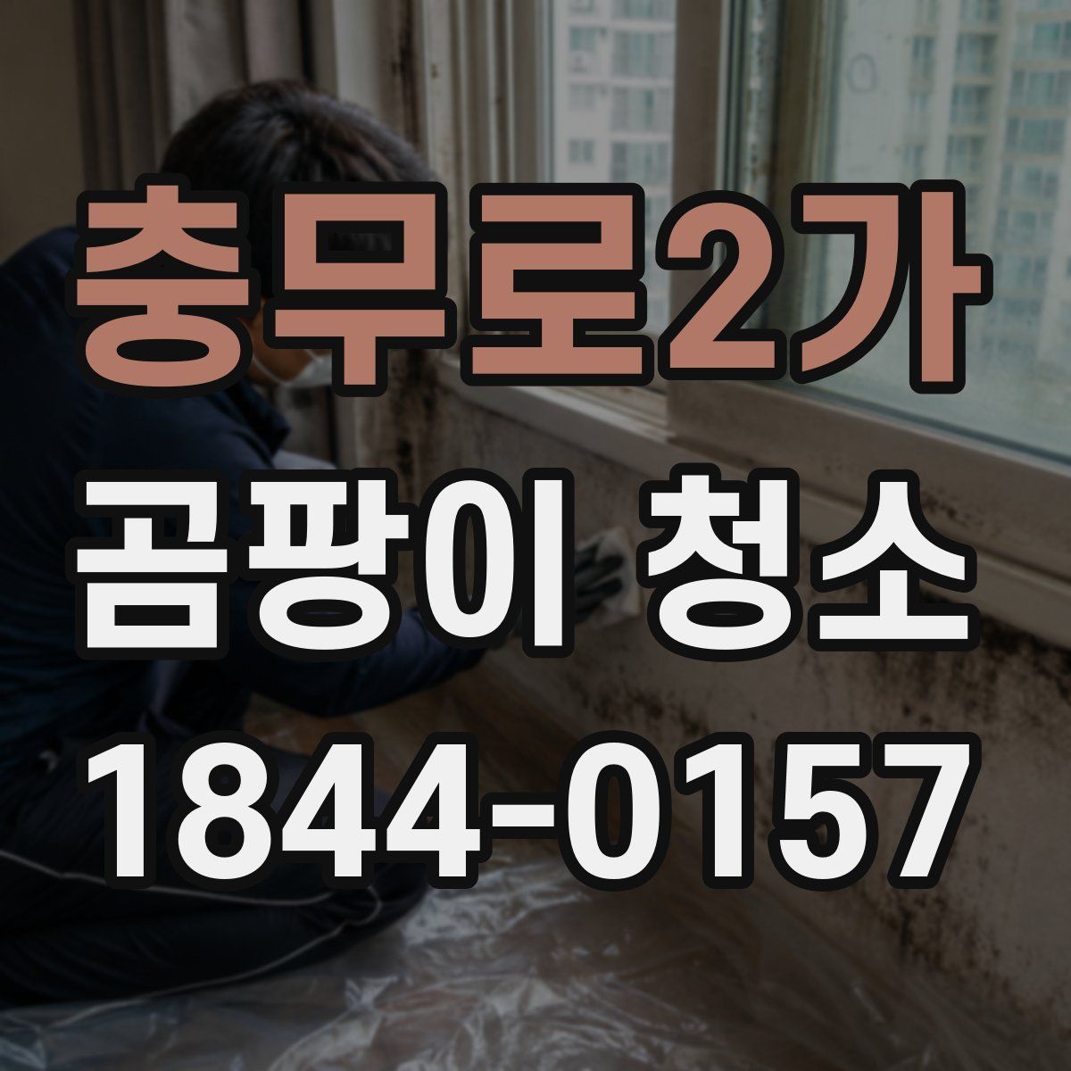 충무로2가 곰팡이 청소