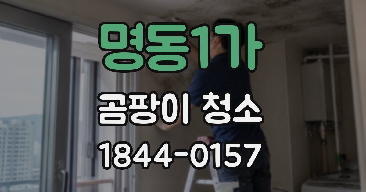 명동1가 곰팡이 청소