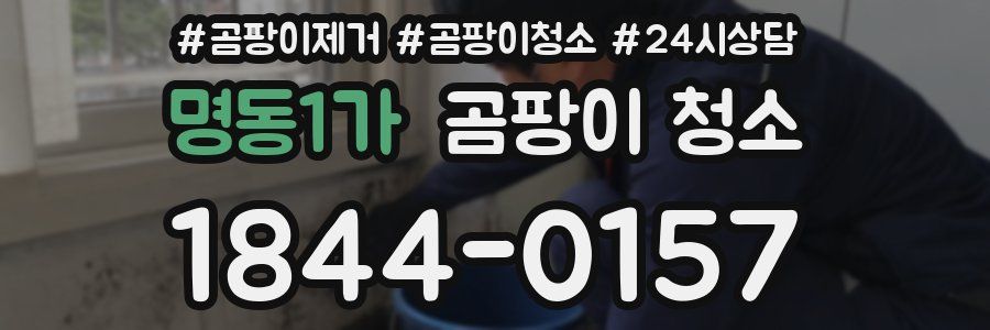 명동1가 곰팡이 청소