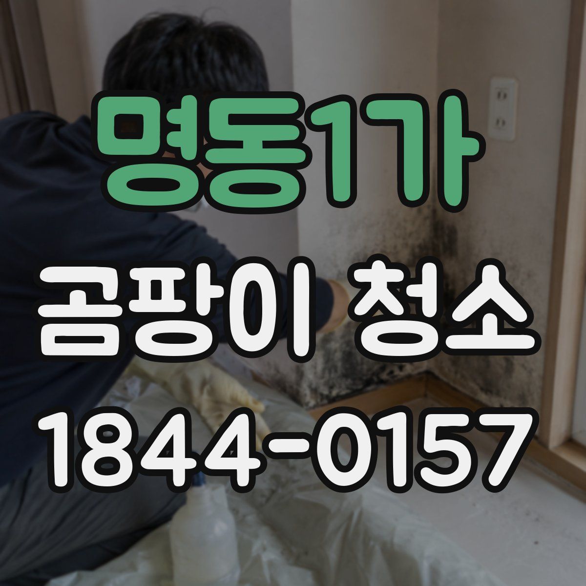 명동1가 곰팡이 청소