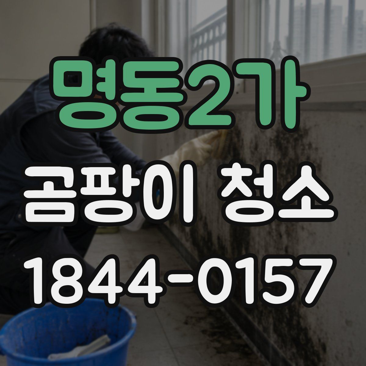 명동2가 곰팡이 청소