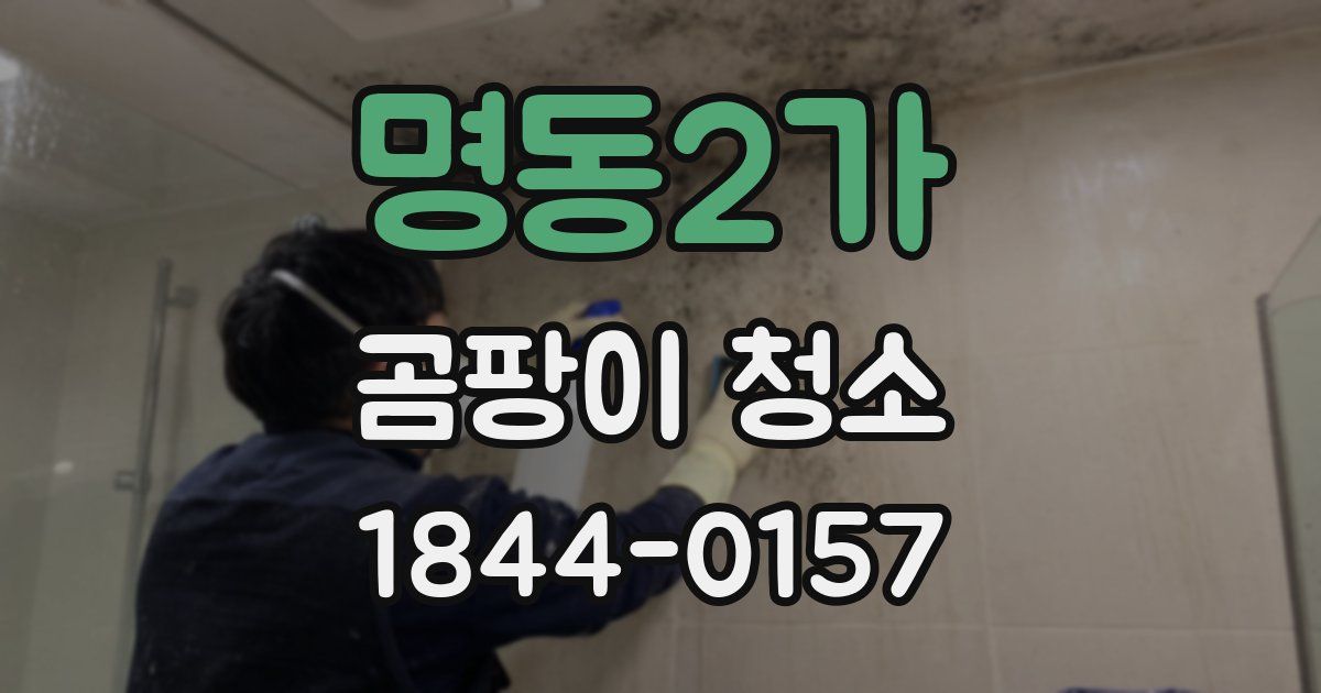 명동2가 곰팡이 청소