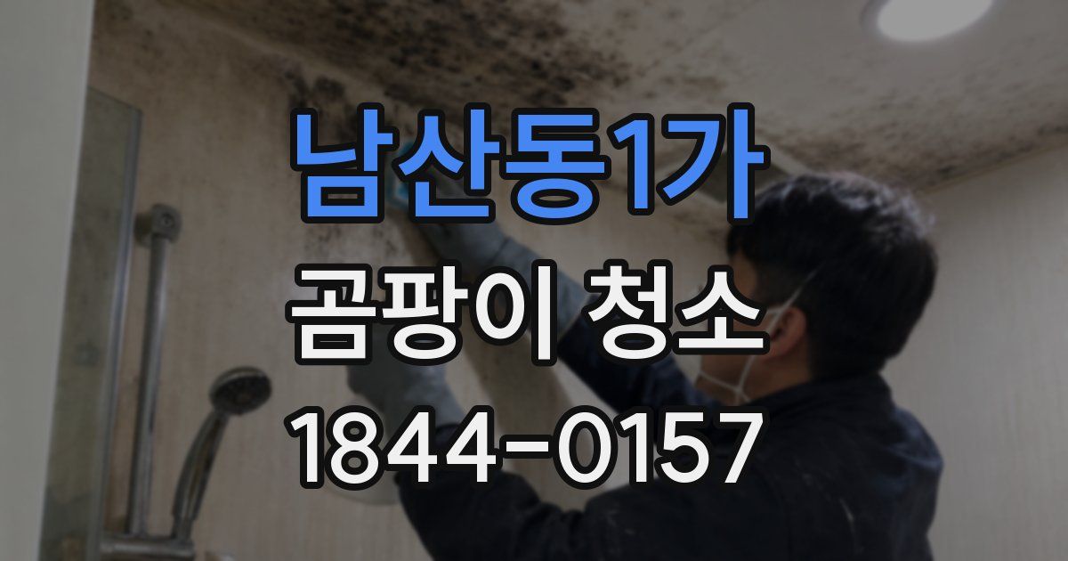 남산동1가 곰팡이 청소