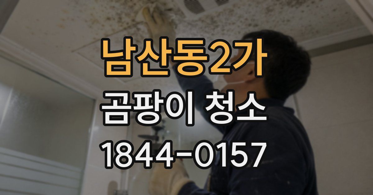 남산동2가 곰팡이 청소