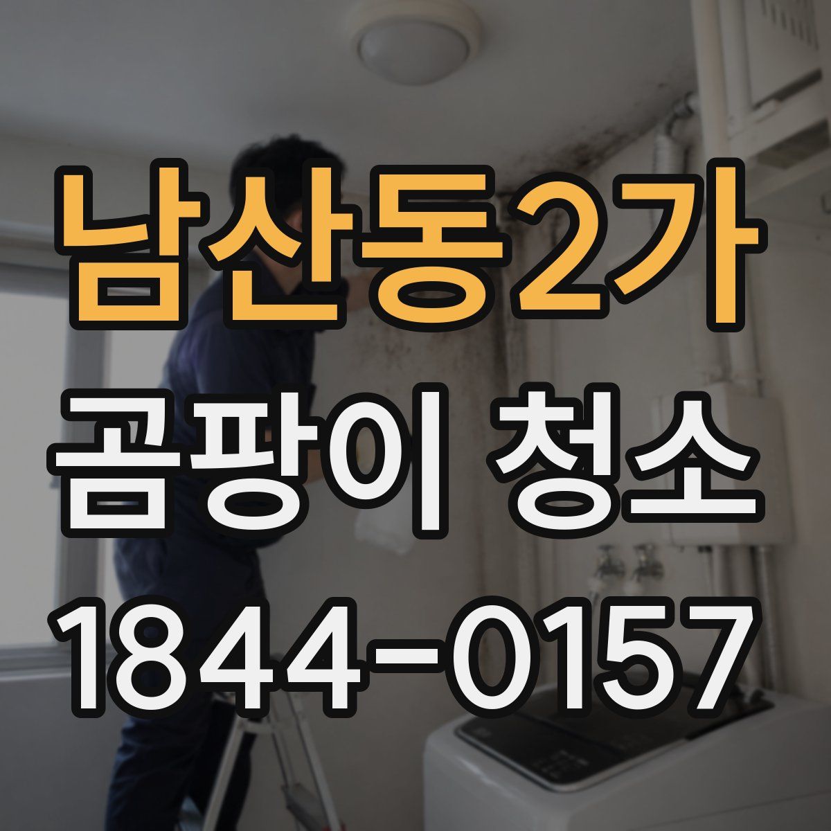남산동2가 곰팡이 청소