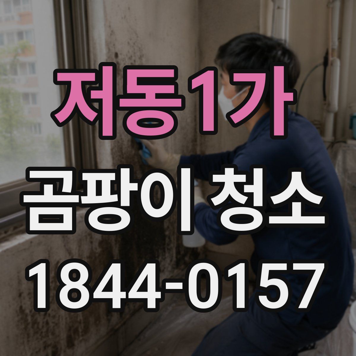 저동1가 곰팡이 청소