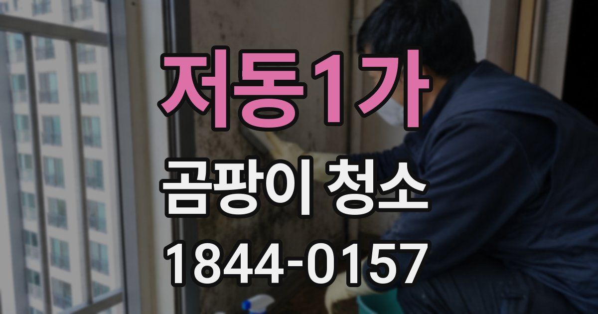 저동1가 곰팡이 청소