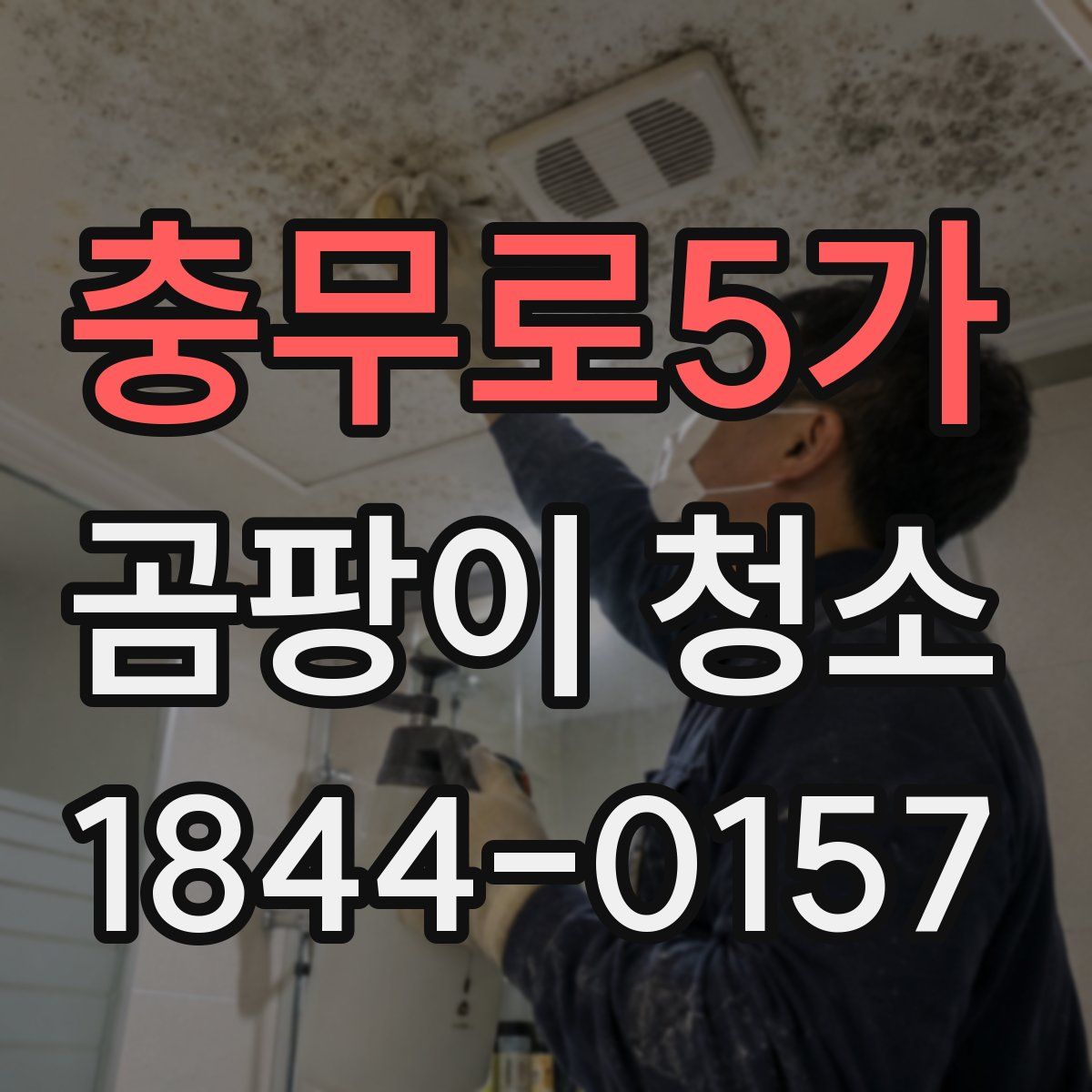 충무로5가 곰팡이 청소
