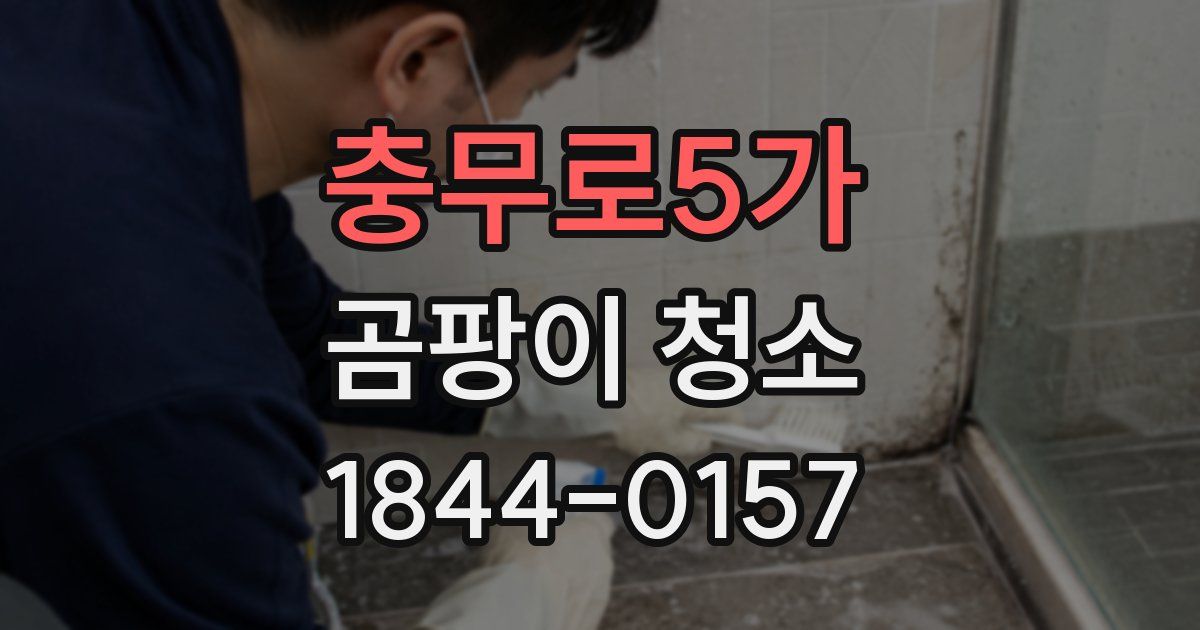 충무로5가 곰팡이 청소