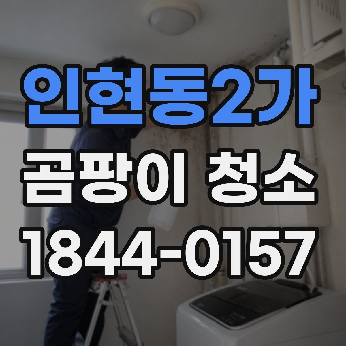 인현동2가 곰팡이 청소 다시 생기지 않게 돕는 생활습관