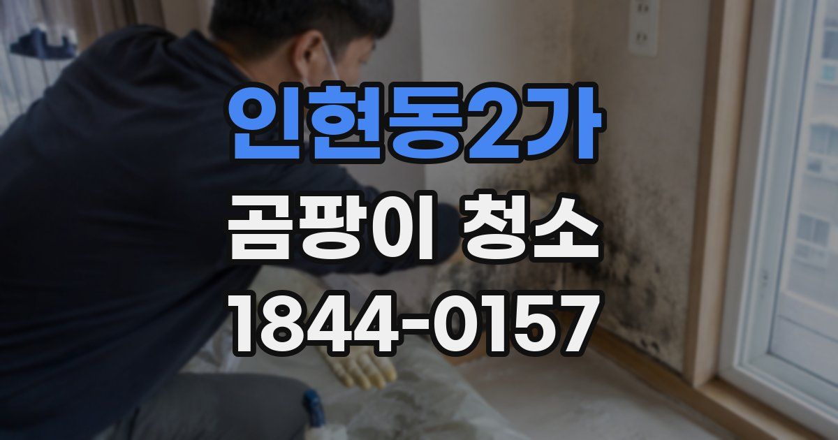 인현동2가 곰팡이 청소