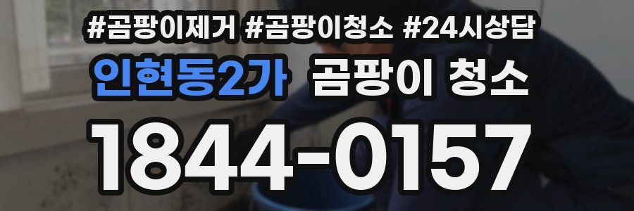 인현동2가 곰팡이 청소