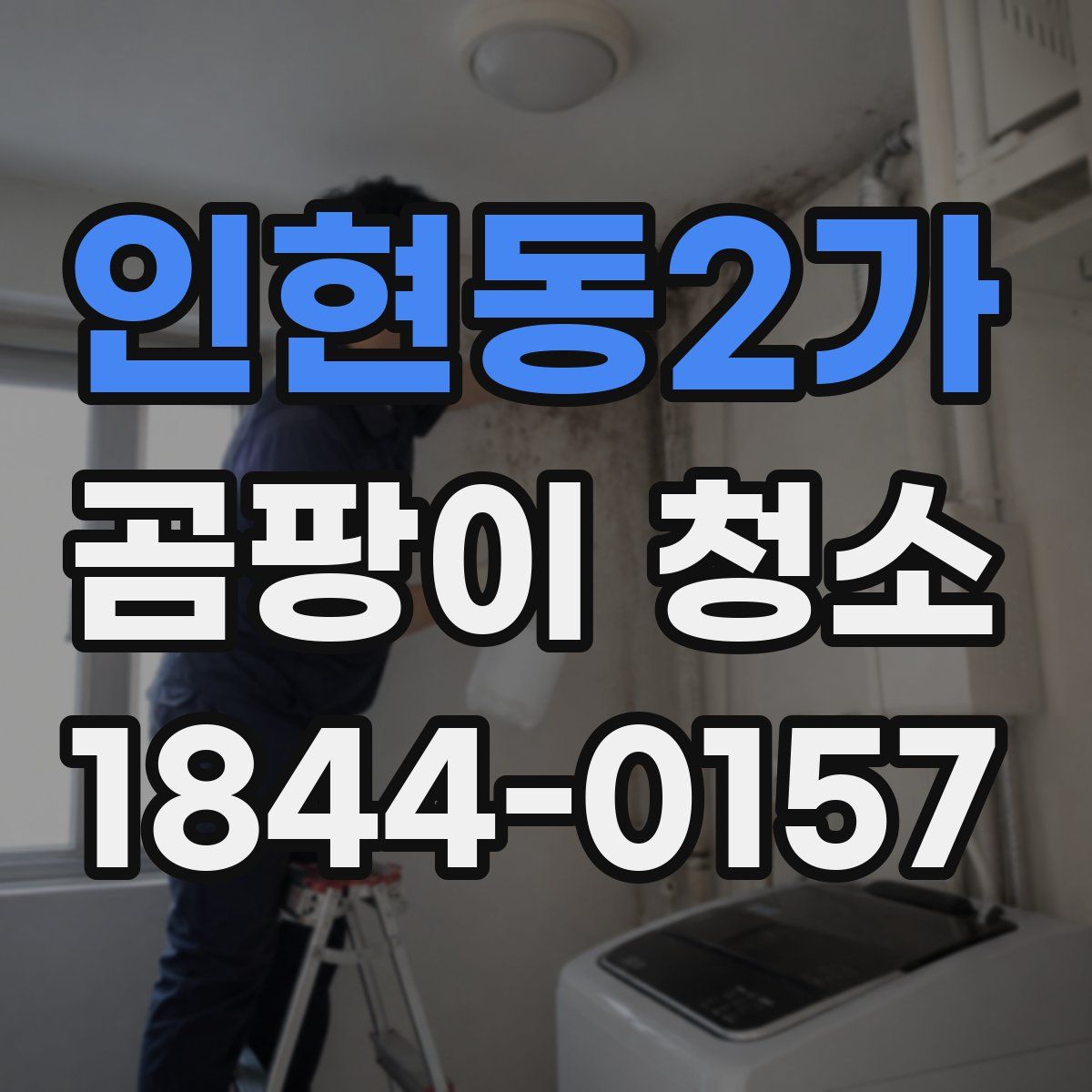 인현동2가 곰팡이 청소
