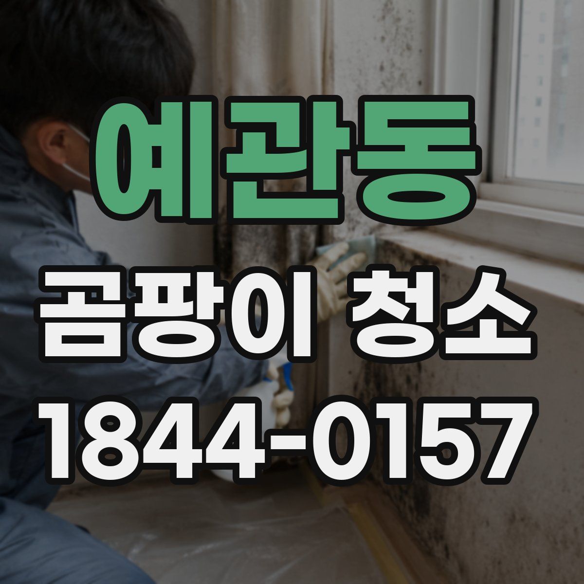 예관동 곰팡이 청소