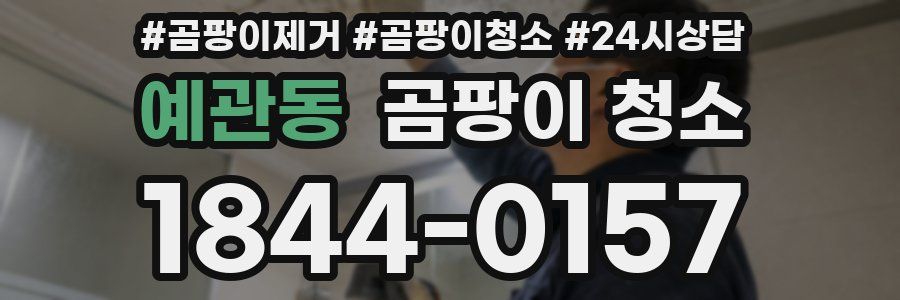 예관동 곰팡이 청소