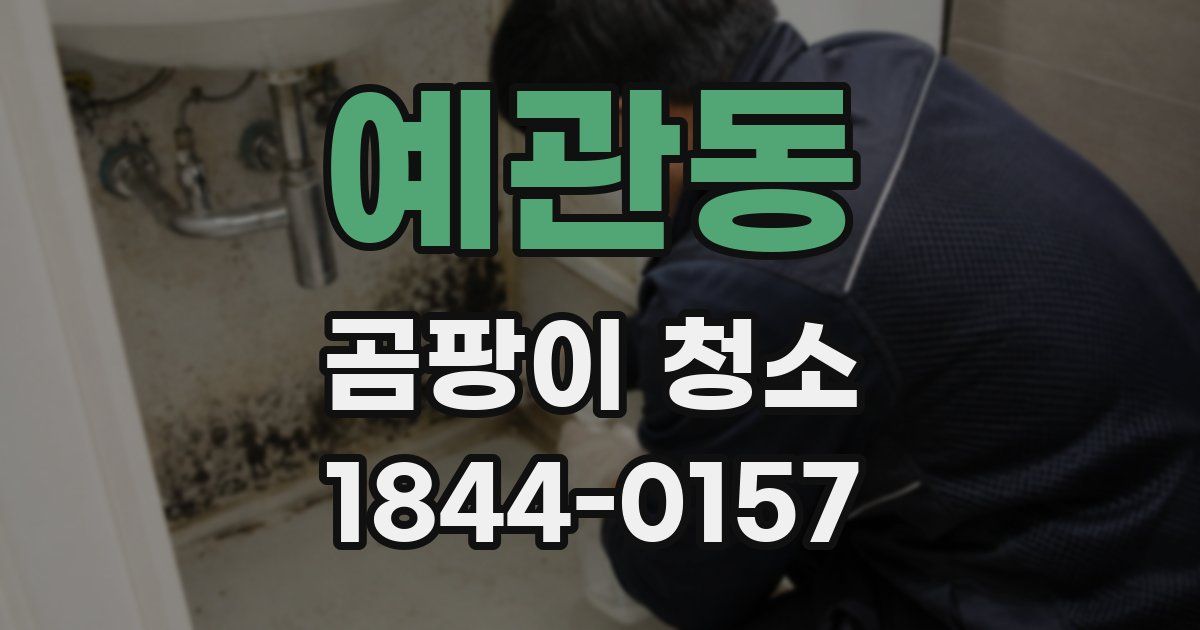 예관동 곰팡이 청소