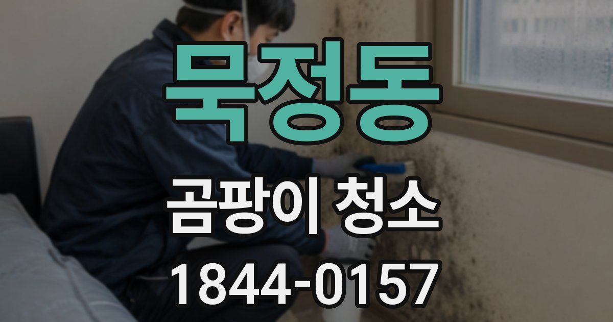 묵정동 곰팡이 청소