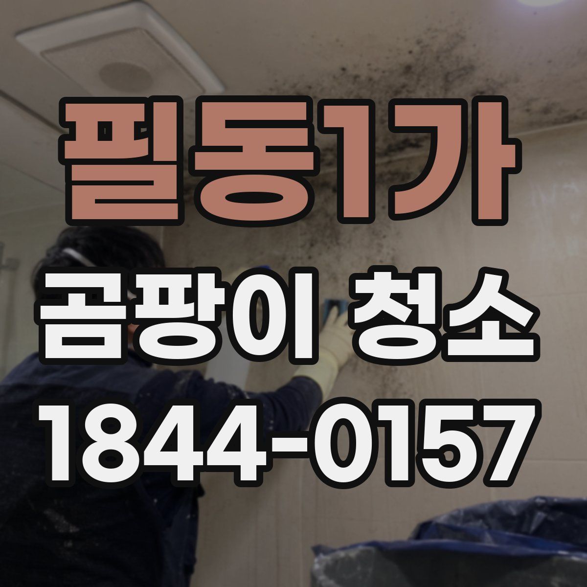 필동1가 곰팡이 청소
